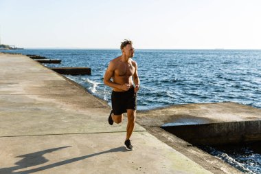 handsome adult shirtless man jogging on seashore clipart