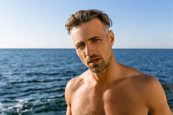 Yakın Çekim Portre Gömleksiz Islak Adamın Deniz Kıyısı Kameraya Bakarak — Ücretsiz Stok Fotoğraf