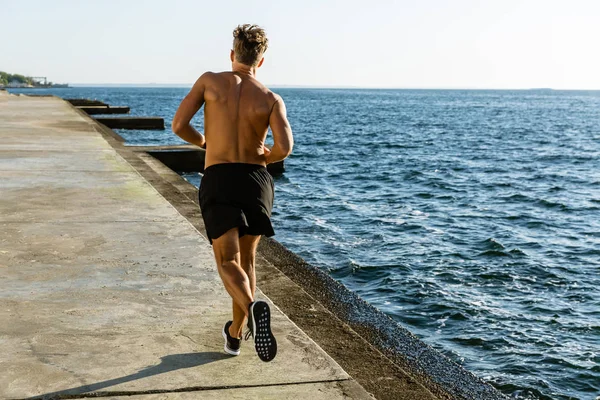 Bakifrån Muskulös Shirtless Sportsman Jogging Havsstranden — Gratis stockfoto