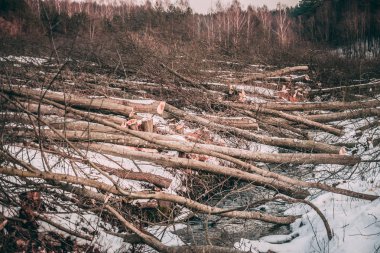 Ağaçlar yalan bir dere kışın katlanmış. Turuncu talaş ve shavi