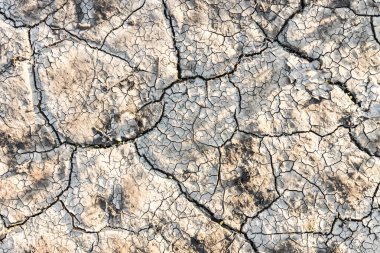 Yaz aylarında kurutulmuş kadar kırık dünyanın doku. Kavramı