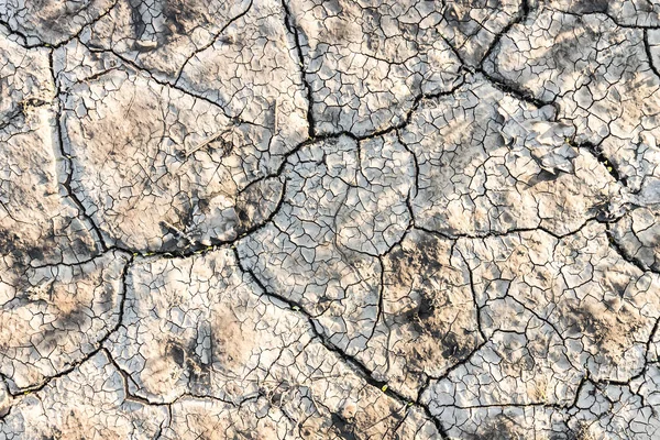 Yaz aylarında kurutulmuş kadar kırık dünyanın doku. Kavramı