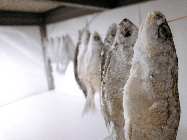 Соленая рыба после рыбалки висит на сушеной проволоке — стоковое фото