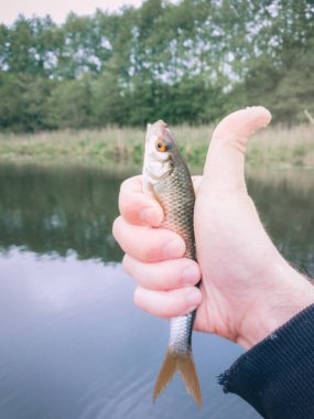 bir balık yakaladı bir balık tuzak bir el karşı mans