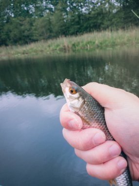 bir balık yakaladı bir balık tuzak bir el bir l karşı mans