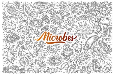Hand drawn different bacteria and viruses. clipart