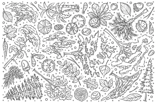 Ensemble d'arbres dessinés à la main fond vectoriel doodle — Image vectorielle