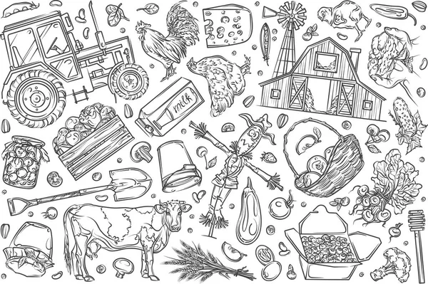 Hand gezeichnet ökologischer Landbau und Lebensmittel Set Doodle Vektor Hintergrund — Stockvektor