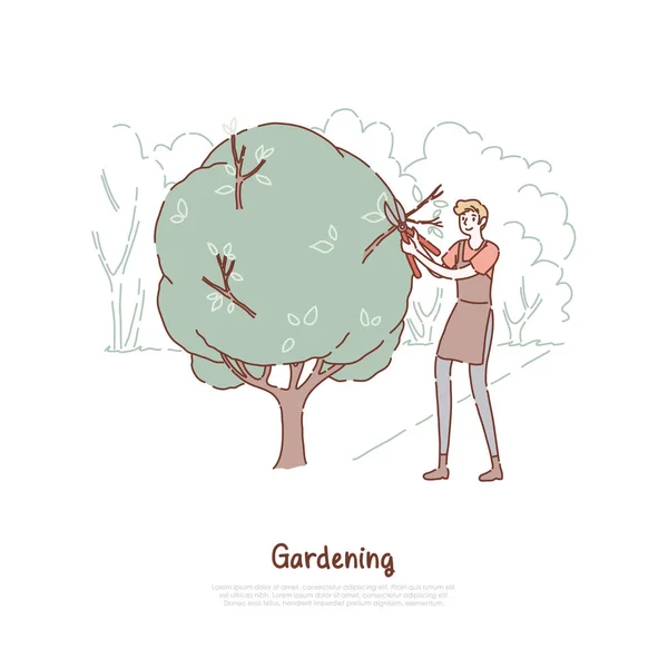 Молодой человек срезает куст, парень в фартуке держит ножницы, уход за растениями, работник садоводческой службы, летнее садоводческое знамя — стоковый вектор