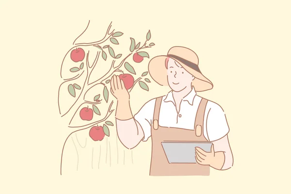 Gärtner erntet Äpfel — Stockvektor