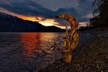 Rusya. Batı Sibirya güneyinde. Dağ altay. Alacakaranlık Gölü Teletskoye kıyısında.