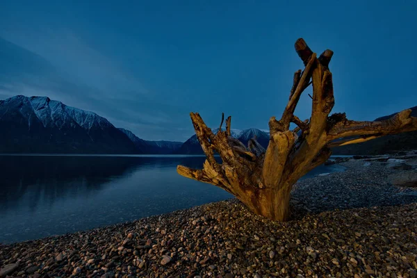 Ryssland Söder Västra Sibirien Mountain Altai Twilight Stranden Sjön Teletskoye — Stockfoto
