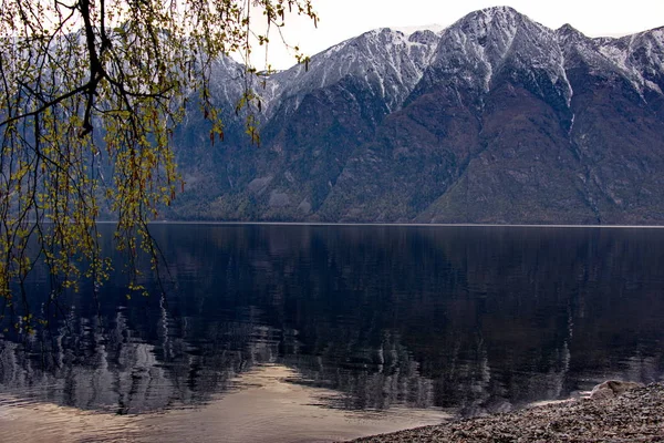 Ryssland Söder Västra Sibirien Mountain Altai Slutet Våren Stranden Sjön — Stockfoto