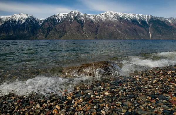 Ryssland Söder Västra Sibirien Mountain Altai Slutet Våren Stranden Sjön — Stockfoto