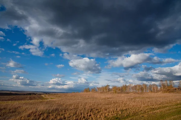 Kazakistan 'ın bozkırlarında bahar