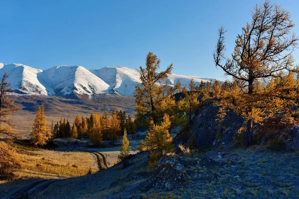 Russia. The South Of Western Siberia. Late autumn in the Altai mountains.
