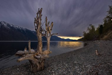 Rusya. Batı Sibirya güneyinde. Dağ altay. Bahar şafak Gölü Teletskoye kıyısında.