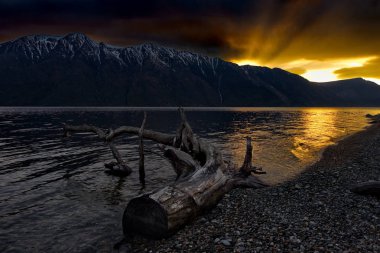 Rusya. Batı Sibirya güneyinde. Dağ altay. Bahar şafak Gölü Teletskoye kıyısında.
