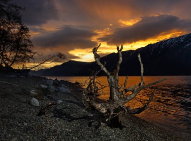Rusya. Batı Sibirya güneyinde. Dağ altay. Bahar şafak Gölü Teletskoye kıyısında.