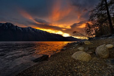 Rusya. Batı Sibirya güneyinde. Dağ altay. Bahar şafak Gölü Teletskoye kıyısında.