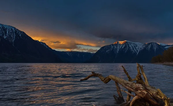 Rússia Sul Sibéria Ocidental Mountain Altai Amanhecer Primavera Costa Lago — Fotografia de Stock