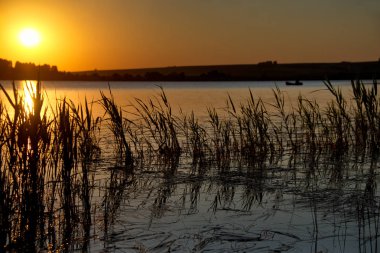 Rusya. Sibirya, Altai Krai. Büyümüş gölde yaz günbatımı