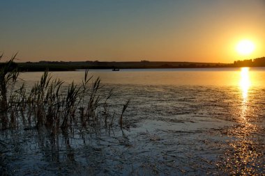 Rusya. Sibirya, Altai Krai. Büyümüş gölde yaz günbatımı