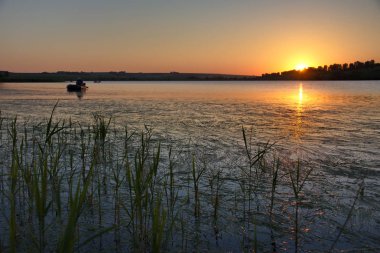 Rusya. Sibirya, Altai Krai. Büyümüş gölde yaz günbatımı
