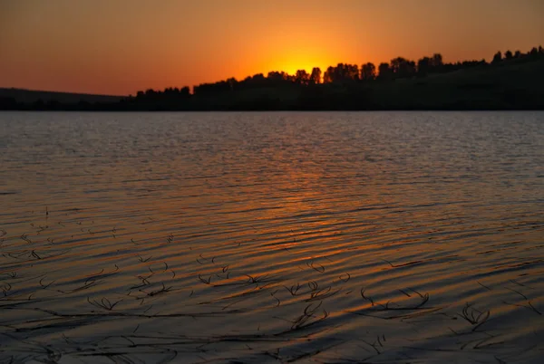 Russland Sibirien Altai Krai Sommersonnenuntergang Auf Dem Zugewachsenen See — Stockfoto