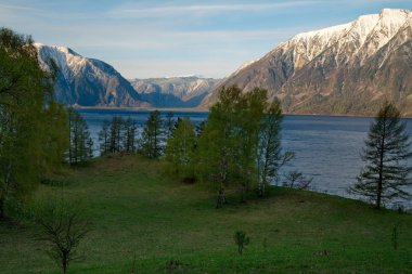 Rusya. Dağ altay. Soğuk bahar sabahı Gölü Teletskoye kıyısında