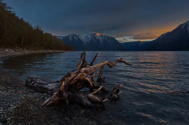 Rusya. Batı Sibirya güneyinde. Dağ altay. Bahar şafak Gölü Teletskoye kıyısında.