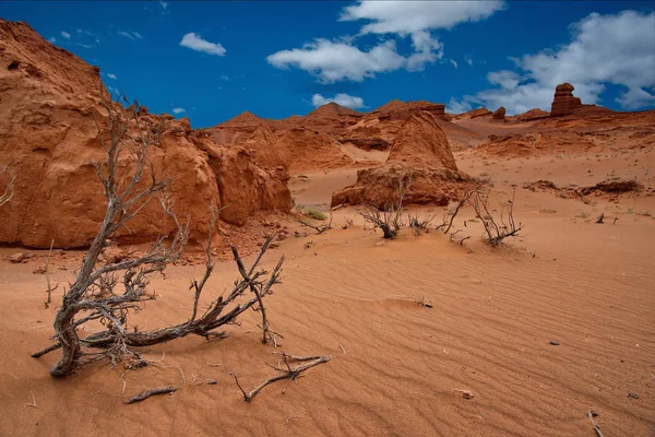 Sudoeste Mongólia Oasis Harmen Tsav Coração Deserto Gobi — Fotografia de Stock