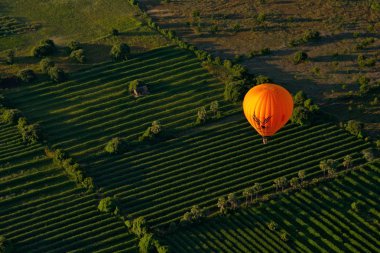 Bagan. Myanmar. 11/25/2016. Her sabah şafak vakti, turist taşıyan bir düzine balonlar birlikte Bagan birçok antik Budist tapınakları kuşbakışı göz ihtişamını görmek için göğe yükselişi.