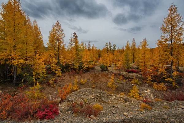 Ryssland Magadan Den Fantastiska Skönheten Fjärran Östern Hösten — Stockfoto