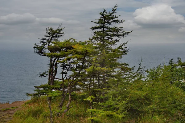 Russia. Far East. Rocks of the sea of Okhotsk near the city of Magadan