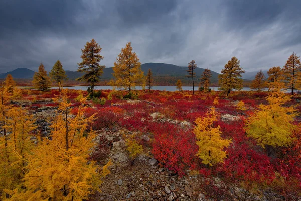 Rusland Magadan Verbazingwekkende Schoonheid Van Herfst Van Het Verre Oosten — Stockfoto