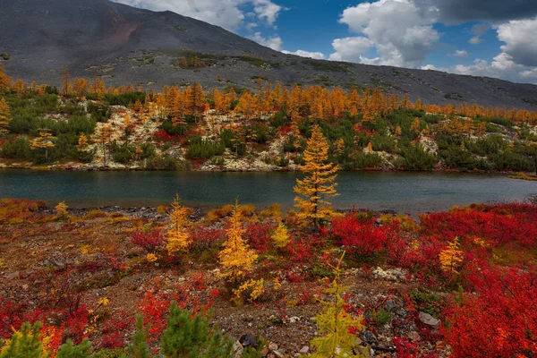 Rusia Magadan Increíble Belleza Del Otoño Del Lejano Oriente Lago —  Fotos de Stock
