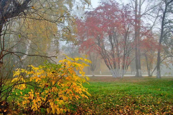 Russland Südwestsibirien Früher Nebliger Morgen Stadtpark — Stockfoto