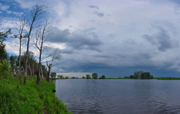 Rusia Sur Siberia Occidental Día Sin Viento Verano Río —  Fotos de Stock