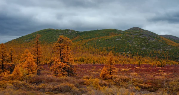 Ryssland Magadan Den Fantastiska Skönheten Fjärran Östern Hösten — Stockfoto