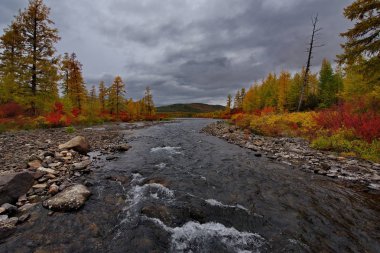 Rusya. Uzak Doğu. Sonbahar, Magadan soğuk su ırmakları kullanılır.