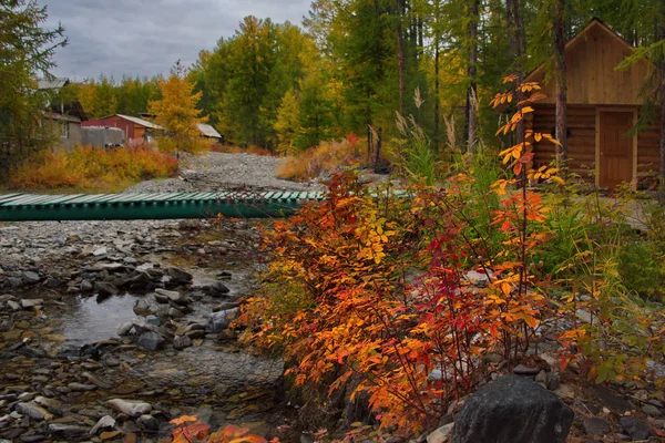 Rusia Lejano Oriente Los Colores Del Otoño Son Ríos Agua — Foto de Stock