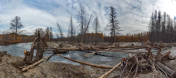 Russia. far East. The colours of autumn are cold-water rivers of Magadan.