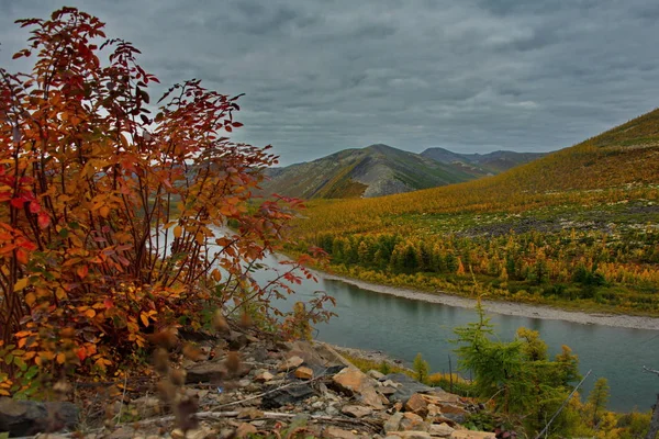 Ρωσία Άπω Ανατολή Χρώματα Του Φθινοπώρου Είναι Κρύος Ύδατος Ποταμών — Φωτογραφία Αρχείου