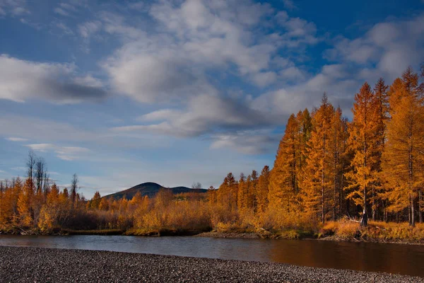 Russland Fernost Goldener Herbst Den Ufern Der Nebenflüsse Der Kolyma — Stockfoto