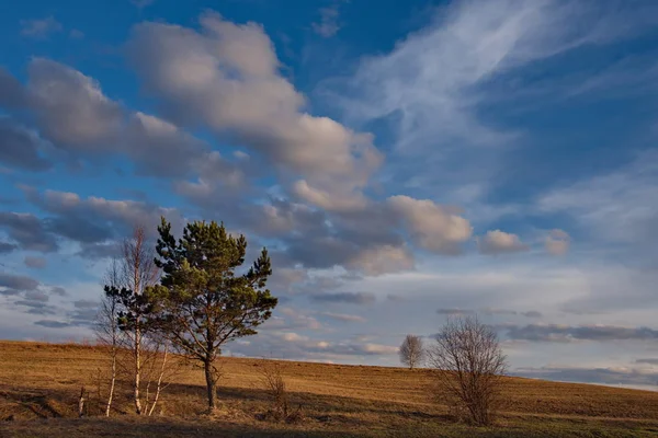 Rusia Una Pintoresca Puesta Sol Primaveral Sobre Los Campos Siberianos —  Fotos de Stock