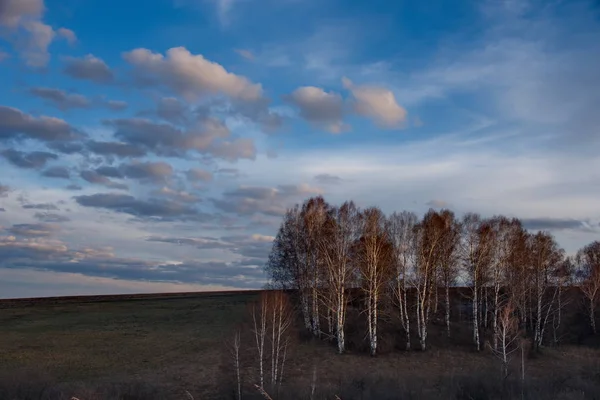 Rusia Una Pintoresca Puesta Sol Primaveral Sobre Los Campos Siberianos —  Fotos de Stock