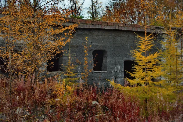 Russia. Far East, Magadan region. Abandoned villages along Federal highway M56 \