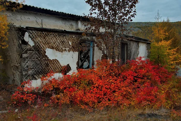 Russia. Far East, Magadan region. Abandoned villages along Federal highway M56 