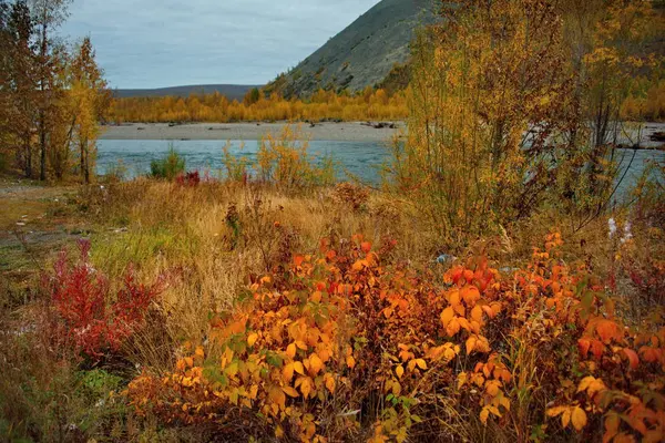 Ryssland Fjärran Östern Färgerna Hösten Kallt Vatten Floderna Magadan — Stockfoto